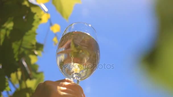 Pouring a glass of white wine. — Stock Video