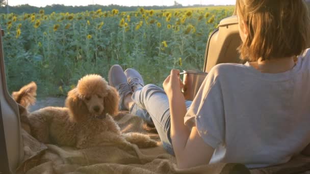 Jeune voyageuse femme avec son chien est couché dans le coffre ouvert de la voiture  . — Video