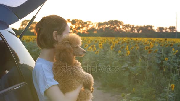 Jeune femme avec son chien debout près de la voiture  . — Video