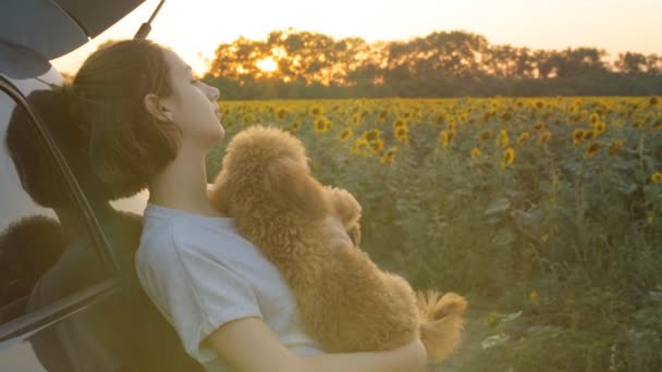 Jeune femme avec son chien debout près de la voiture  . — Video