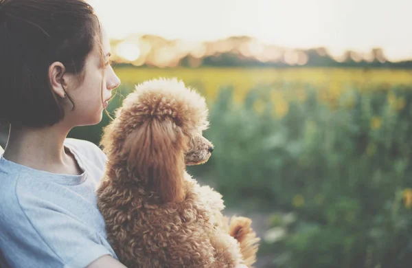 Ung kvinna med hennes hund stå nära bilen . — Stockfoto