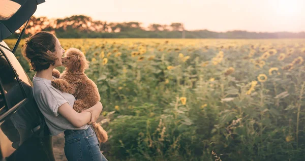 Ung kvinna med hennes hund stå nära bilen . — Stockfoto