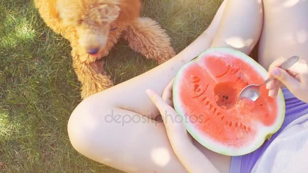 Junge Frau mit ihrem Hund, der eine halbe rote Wassermelone isst . — Stockvideo