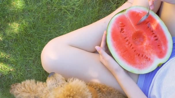 年轻女子和她的狗吃半个红的西瓜，放宽对在院子里 . — 图库视频影像