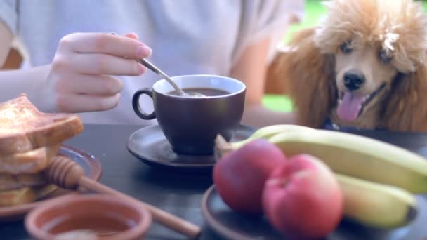 Cinemagraph - ontbijt vrouw's ochtends koffie gelet op terras. — Stockvideo