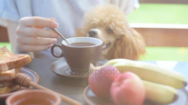 Mulher tomando café da manhã no terraço . — Vídeo de Stock