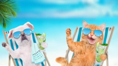Cinemagraph - kedi ve köpek şezlong kokteyl ile oturup rahatlatıcı deniz arka planda. Hareketli fotoğraf.