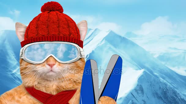 Cinemagraph - Skifahrer Katze mit Sonnenbrille entspannt im Berg. Bewegtbild.