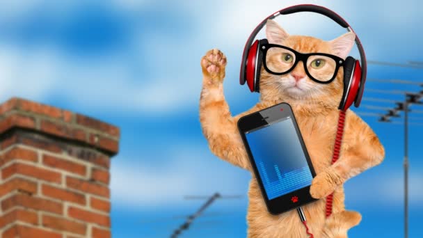 Cinemagraph - Cat headphones in glasses relaxing on the roof . Motion Photo. — Stock Video