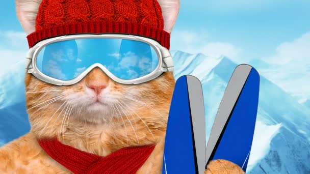 Cinemagraph - Gato esquiador con gafas de sol relajándose en la montaña  . — Vídeo de stock