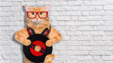 Cinemagraph - müzik kulaklık vinil plak kedi. Hareketli fotoğraf.