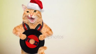 Cinemagraph - müzik kulaklık vinil plak kedi. Hareketli fotoğraf.