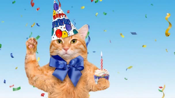 Cinemagraph - verjaardag kat. Animatie . — Stockvideo