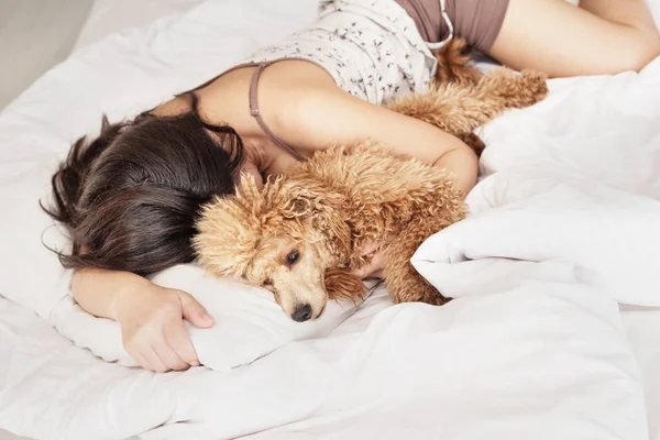 Genç kadın yalan ve kaniş köpek yatakta yatıyor.