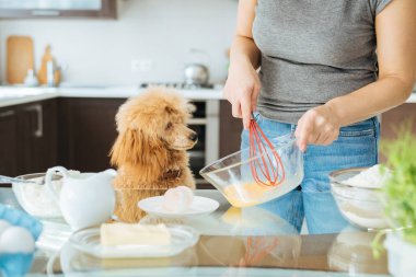 Onun köpeği olan kadın kahvaltı yapıyor . 