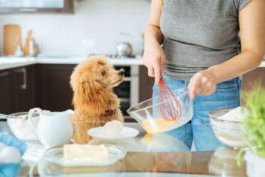 Onun köpeği olan kadın kahvaltı yapıyor .