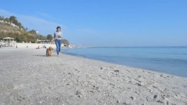 Plajda çalışan köpek kadınla.