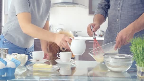 Pareja con perro está haciendo el desayuno  . — Vídeos de Stock