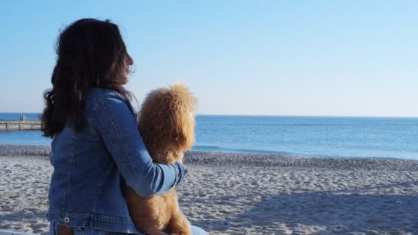 Жінка з собакою на піщаному морському пляжі  . — стокове відео