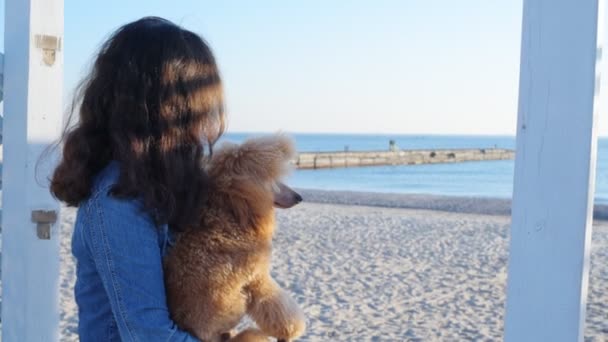 Kadın köpeğini kumlu deniz Beach ile . — Stok video