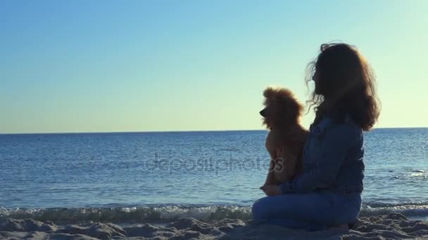 Mujer con su perro en la playa de arena  . — Vídeos de Stock