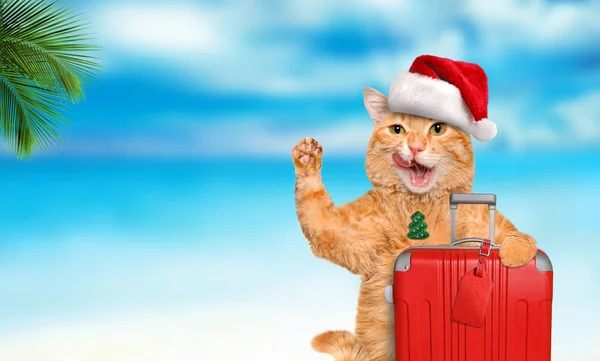Czerwony kot z walizką na tle morza. Boże Narodzenie. — Zdjęcie stockowe