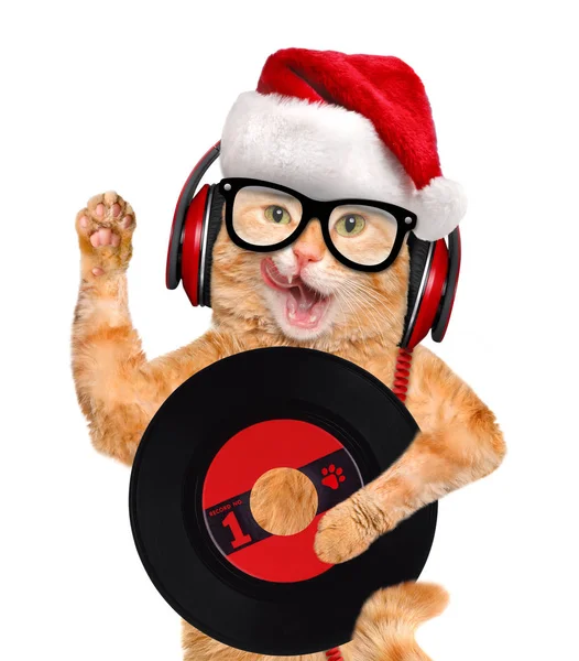 Music headphone vinyl record cat . — стоковое фото