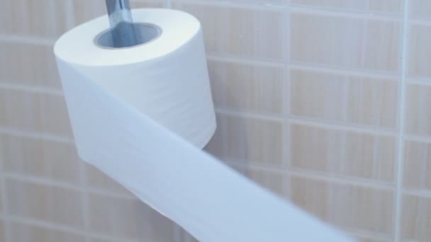 Hand Taking Sheets Paper Toilet Roll — Stock Video