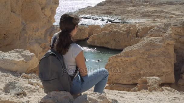 崖の座っていると山を探している旅行者の若い女性 エジプトでラス モハメッド国立公園 — ストック動画