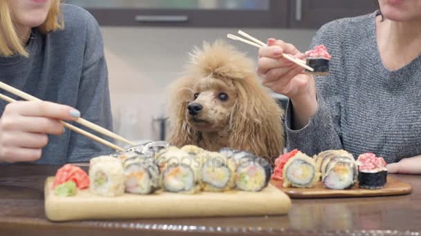 Cinemagraph Glückliche Junge Frau Die Hause Sushi Rollen Isst Bewegtbild — Stockvideo