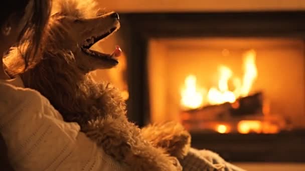 Young Woman Dog Sitting Fireplace — Stock Video