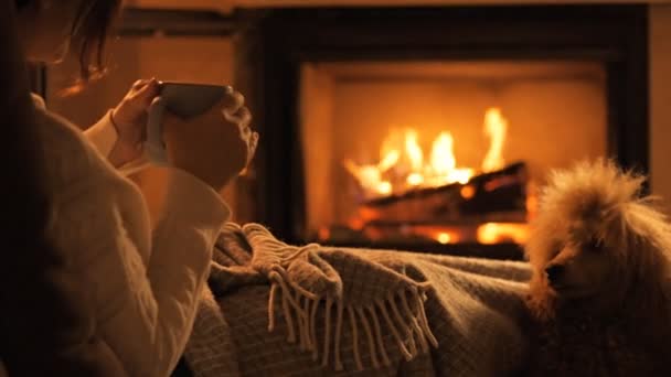 彼女の犬の家で暖炉のそばで座っていると ココアのマグカップを飲む若い女性 — ストック動画