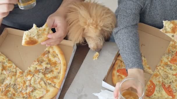 和他们的狗吃比萨饼的夫妇 送比萨 — 图库视频影像