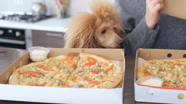 Mãos Femininas Caixa Papelão Aberta Com Pizza Entrega Pizza — Vídeo de Stock