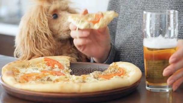 Frau Isst Pitzza Und Trinkt Bier Hund Schaut Sich Futter — Stockvideo