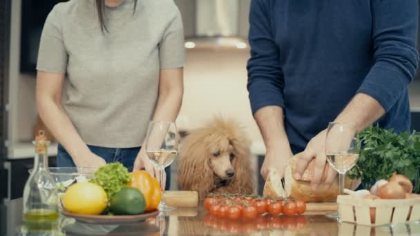 Couple Dog Preparing Supper Couple Kitchen Cooking Together — Stock Video