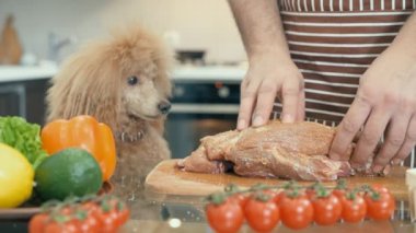 Cinemagraph - adam ile köpek eti mutfakta hazırlanıyor. Hareketli fotoğraf.