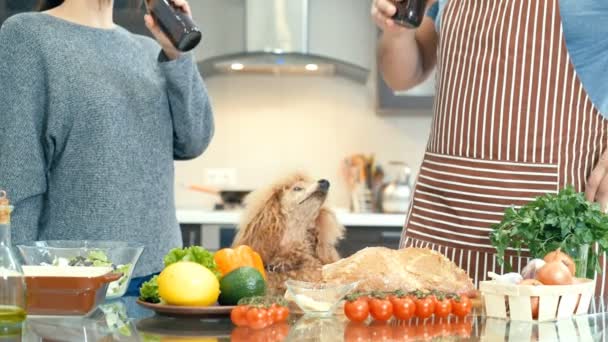 Par Med Hund Förbereder Måltiden Och Dricka Par Köket Matlagning — Stockvideo
