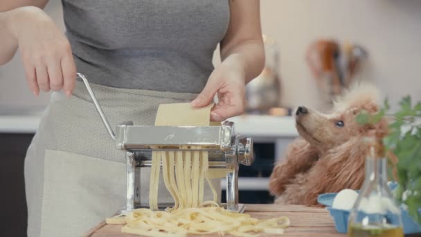 Kinograf Ręce Kobiety Użyć Makaronu Maszyna Cięcia Ten Pies Wygląda — Wideo stockowe