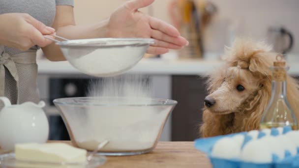 Cinemagraph Woman Sifting Flour Sieve Baking Фотография Движения — стоковое видео