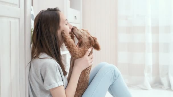 Chica Joven Está Descansando Con Perro Suelo Casa — Vídeo de stock