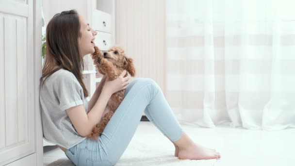 Jong Meisje Rust Met Een Hond Vloer Thuis — Stockvideo