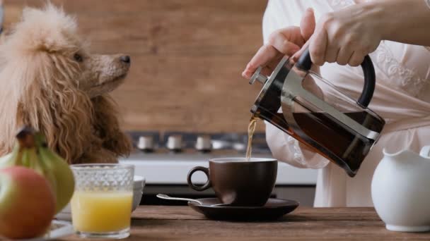 Kinograf Ręka Nalewanie Gorącej Herbaty Czajniczek Pucharze Ten Pies Wygląda — Wideo stockowe