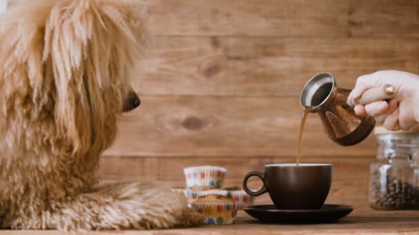 Наливаю Кофе Чашку Собака Смотрит Чашку — стоковое видео