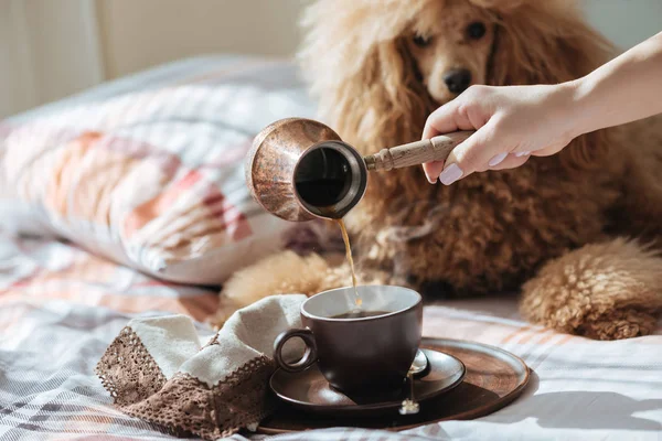 一个年轻的女人在家里的床上和一只狗一起休息 把咖啡倒进杯子里 — 图库照片
