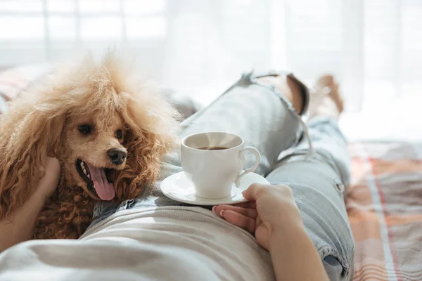 一个年轻的女人正和一只狗躺在家里的床上喝着咖啡 — 图库照片