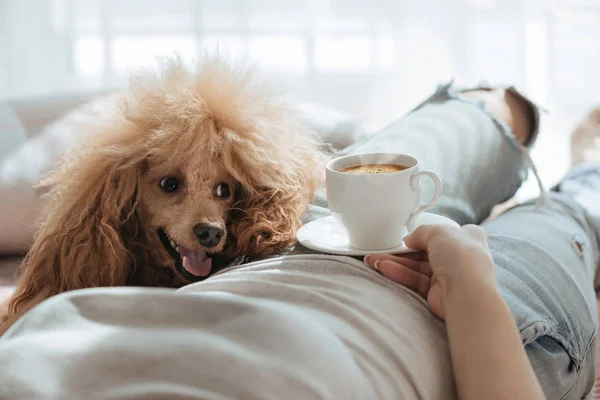 Ung Kvinna Vilar Med Hund Sängen Hemma Med Kopp Kaffe — Stockfoto