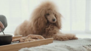  Onu köpek kadınla evde kahvaltı var .