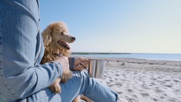 砂海のビーチで彼女の犬を持つ女性 概念の自由 旅行や休暇のイメージ クローズ アップ — ストック動画
