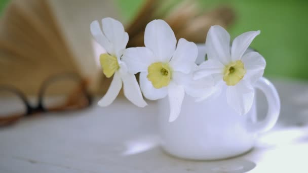 Cinemagraph Bok Och Narcisser Mugg Trä Bordet Rörelse Foto — Stockvideo